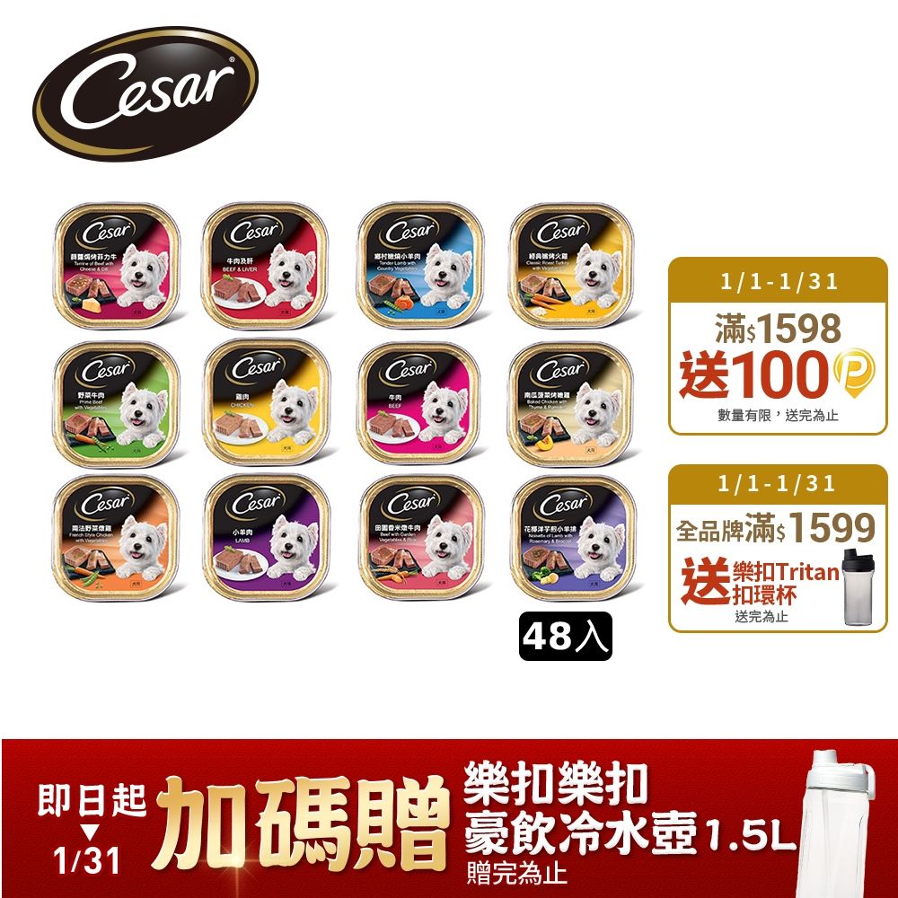 Cesar 西莎 精緻/風味餐盒 100g*48入 寵物/狗罐頭/狗食