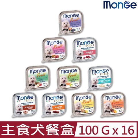 MONGE 【16入組】瑪恩吉倍愛滿滿-主食犬餐盒 100g