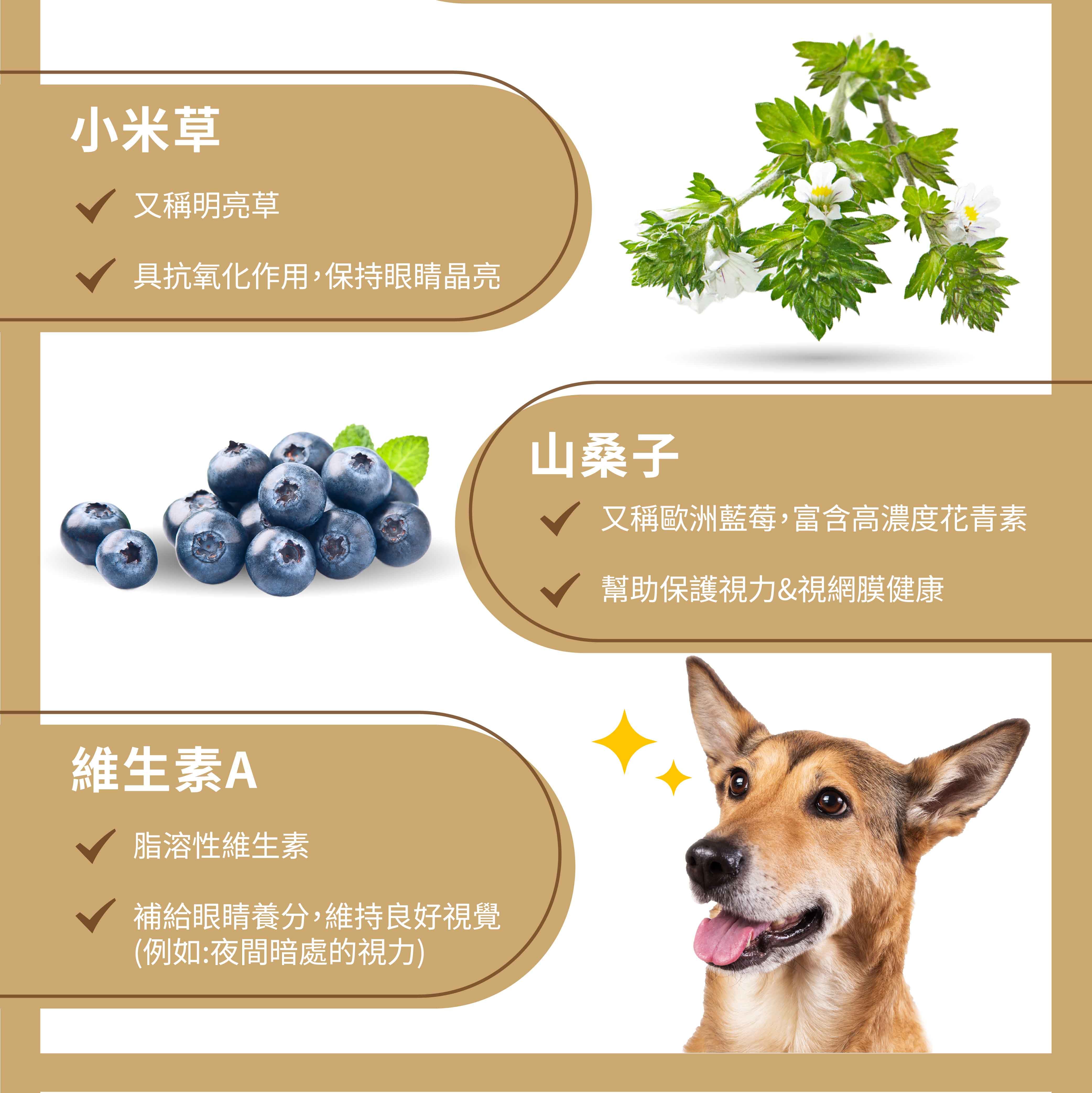 小米草又稱明亮草具抗氧化作用,保持眼睛晶亮維生素A脂溶性維生素補給眼睛養分,維持良好視覺(例如:夜間暗處的視力)山桑子又稱歐洲藍莓,富含高濃度花青素幫助保護視力&視網膜健康