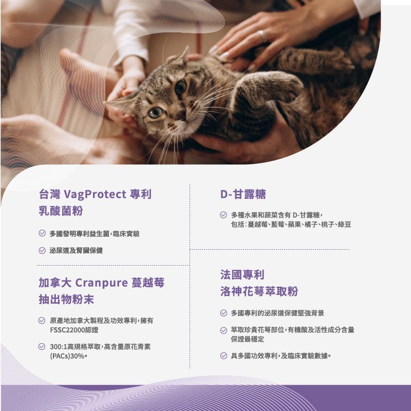 台灣 VagProtect 專利乳酸菌粉D-甘露糖多種水果和蔬菜含有D-甘露糖包括:蔓越莓、藍莓、蘋果、橘子、桃子、綠豆多國發明專利益生菌,臨床實驗泌尿道及腎臟保健法國專利加拿大 Cranpure 蔓越莓抽出物粉末原產地加拿大製程及功效專利,擁有FSSC22000認證300:1高規格萃取,高含量原花青素(PACS)30%洛神萃取粉多國專利的泌尿道保健堅強背景萃取珍貴花萼部位,有機酸及活性成分含量保證最穩定具多國功效專利,及臨床實驗數據。