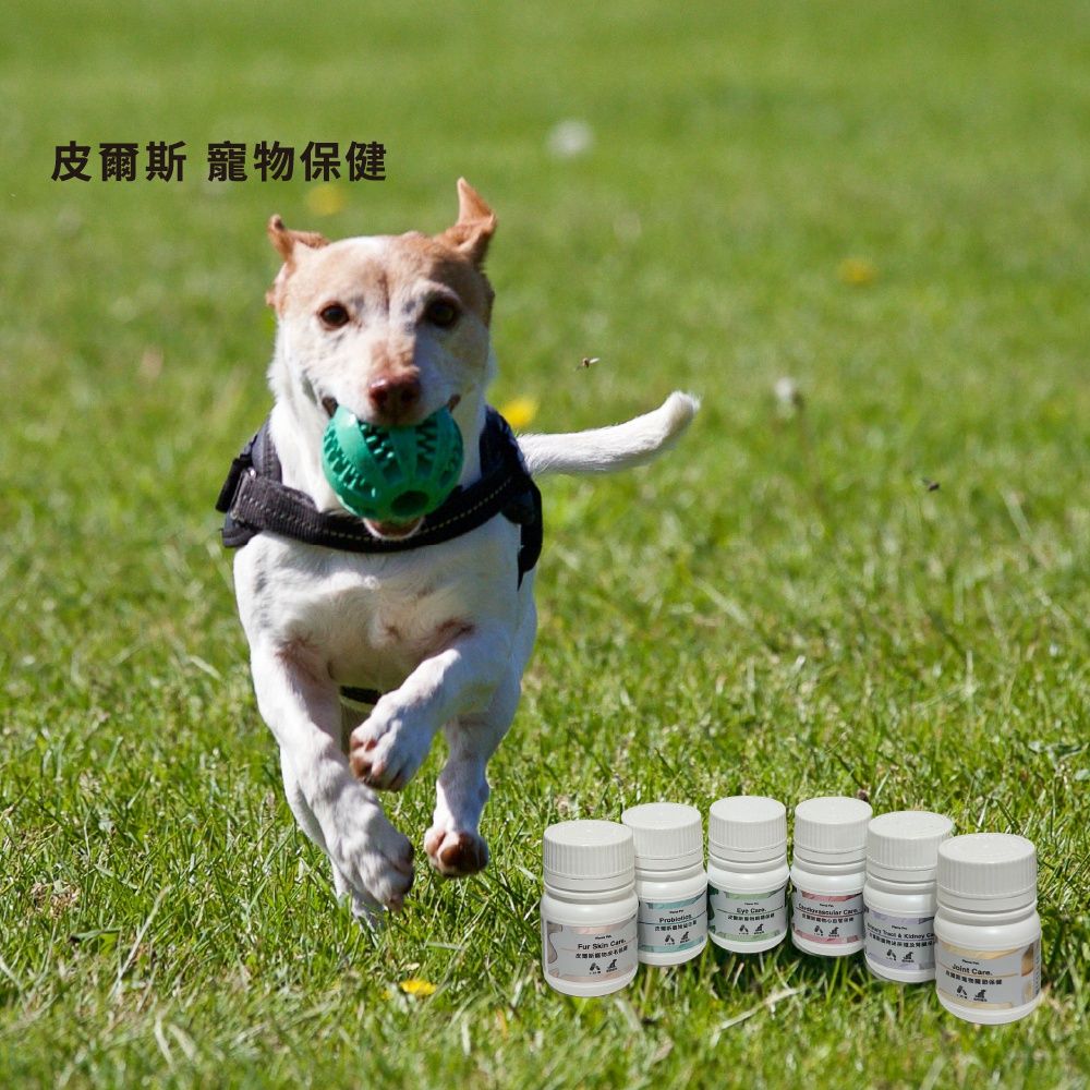 Pierce Pet 皮爾斯 寵物泌尿道及腎臟保健 30顆寵物的健康從平日保養做起