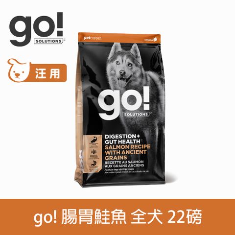 go! 鮭魚 22磅 狗狗腸胃保健系列 (狗糧 狗飼料 腸胃敏感 益生菌)