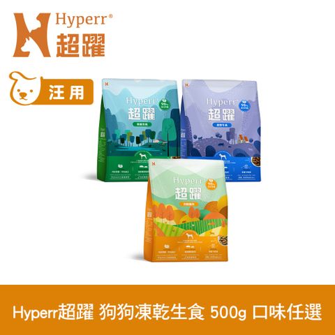 Hyperr 超躍 狗狗 凍乾生食餐 500g 任選 (常溫保存 狗飼料 狗糧 無穀 牛肉 羊肉 雞肉)