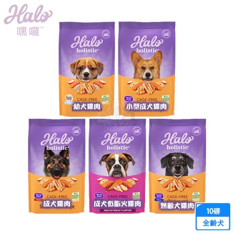 HALO 嘿囉 無穀 幼犬/小型成犬/熟齡犬 雞肉 10磅 全鮮肉 犬乾糧 犬飼料 高消化力 送贈品