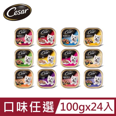 【Cesar西莎】精緻/風味餐盒 100g*24入 寵物/狗罐頭/狗食