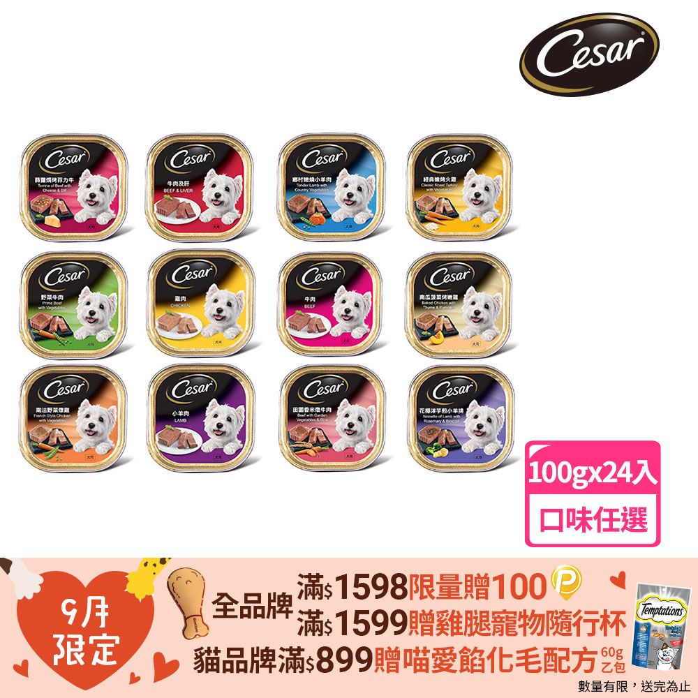 Cesar 西莎 精緻/風味餐盒 100g*24入 寵物/狗罐頭/狗食