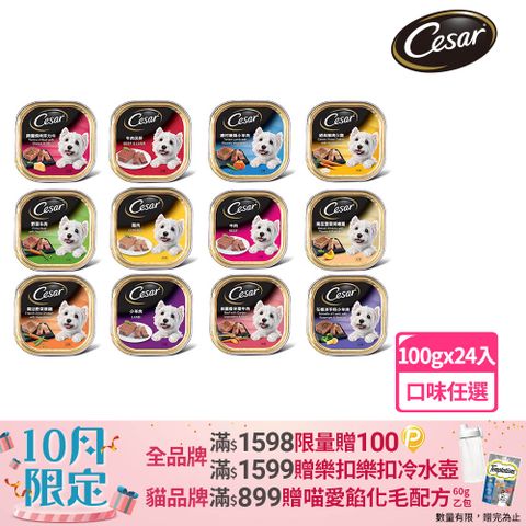 Cesar 西莎 精緻/風味餐盒 100g*24入 寵物/狗罐頭/狗食