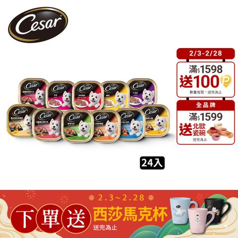 Cesar 西莎 精緻/風味餐盒 100g*24入 寵物/狗罐頭/狗食