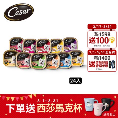 Cesar 西莎 精緻/風味餐盒 100g*24入 寵物/狗罐頭/狗食