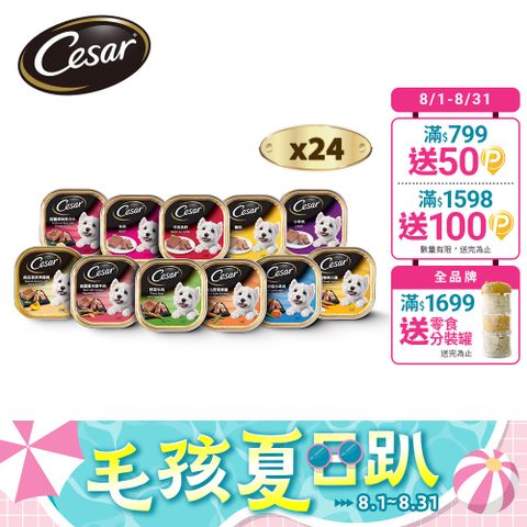【Cesar西莎】精緻/風味餐盒 100g*24入 寵物/狗罐頭/狗食