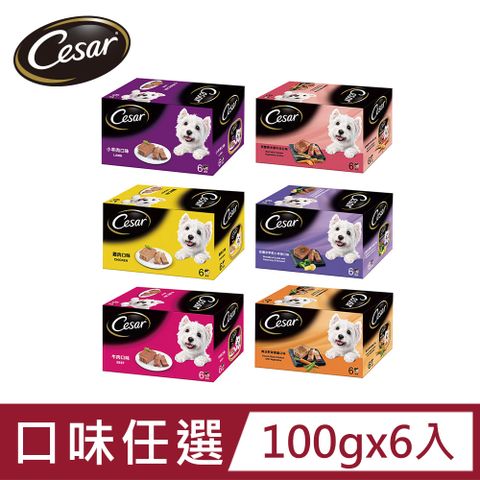【Cesar西莎】精緻/風味餐盒 100g*6入 寵物/狗罐頭/狗食