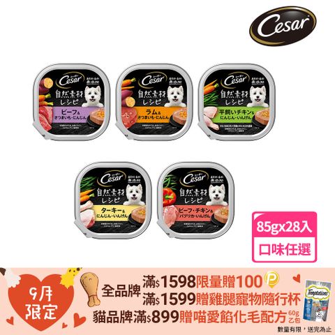 Cesar 西莎 自然素材餐盒 85g*28入 寵物/狗罐頭/狗食