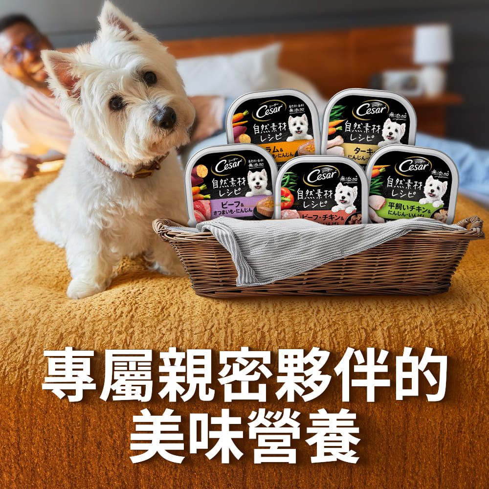 Cesar 西莎 自然素材餐盒 85g*28入 寵物/狗罐頭/狗食