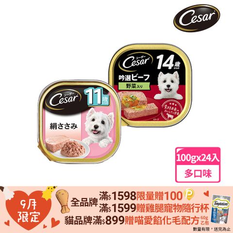 Cesar 西莎 熟齡餐盒 高齡犬 100g*24入 寵物/狗罐頭/狗食