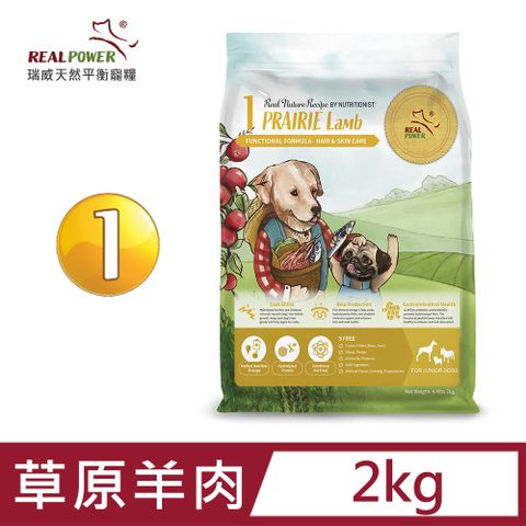 ★提供幼犬全方位的營養需求，1-8月齡幼犬適用★【Real Power 瑞威】幼犬糧1號 草原羊肉 2kg