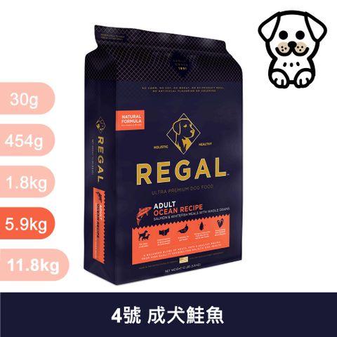 REGAL 芮格爾 RD4 成犬 鮭魚 5.9kg