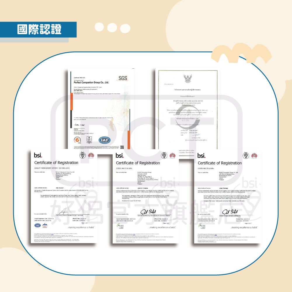 IQ Dog 聰明狗罐頭 400G x48罐