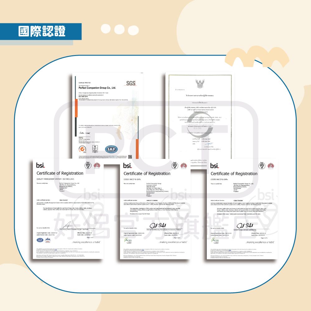 IQ Dog 聰明狗罐頭 400G x24罐/箱