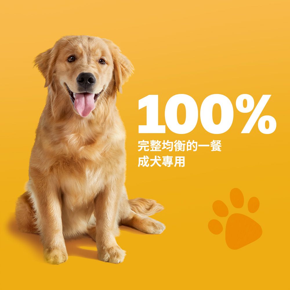Pedigree 寶路 成犬乾糧 10kg 大包裝 寵物/狗飼料/狗食