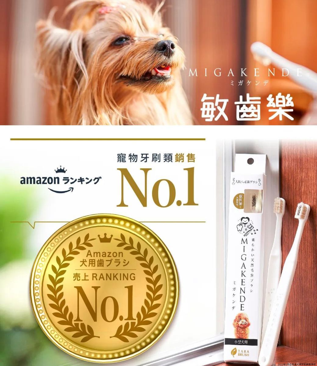 amazon ランキングMIGAKENDEミガケンデ敏寵物牙刷類銷售No1Amazon売上 RANKINGNo.1.柔らかい天然歯ブラシミガケンデ小型犬用TABABRUSH2022年5月犬