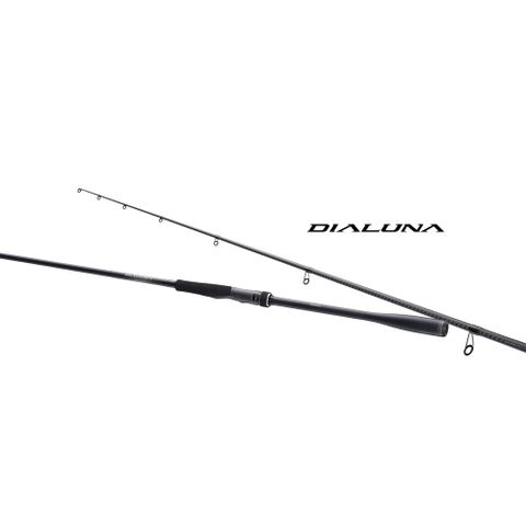 SHIMANO 禧瑪諾 23 DIALUNA S96M 直柄 海鱸竿 海水路亞竿
