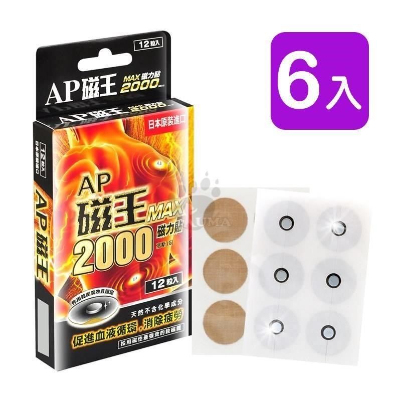  【南紡購物中心】 AP磁王 MAX磁力貼2000高斯 12粒裝 (6入)