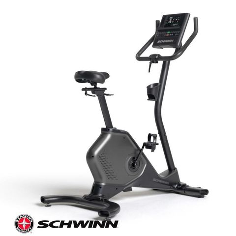 JOHNSON 喬山 Schwinn 590U 直立式健身車 飛輪