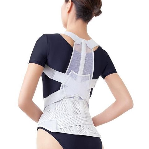 【南紡購物中心】 【日本Alphax】日本製 腰背支撐帶 一入 護腰背 腰部保護 腰帶