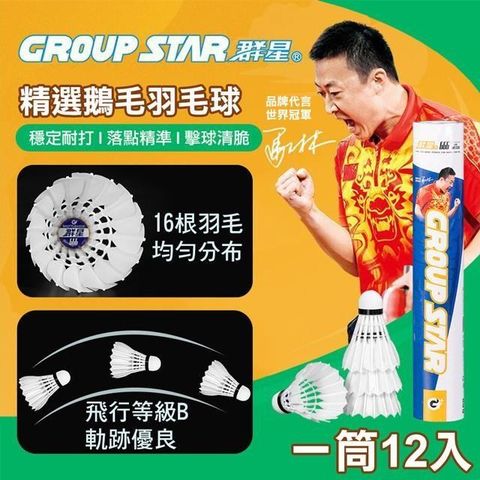 【南紡購物中心】 【GROUP STAR】群星精選鵝毛羽毛球1筒12入(GS666)