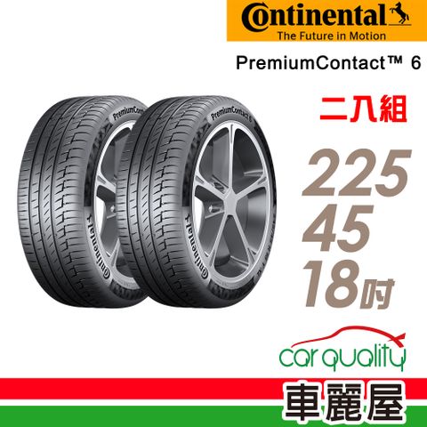 【Continental 馬牌】輪胎馬牌 D9 PC6-2254518吋 95V D9_二入組_(車麗屋)