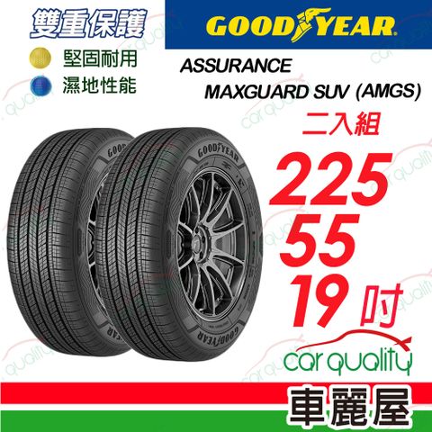 Goodyear 固特異 輪胎 AMGS-225/55/19吋_二入組(車麗屋)