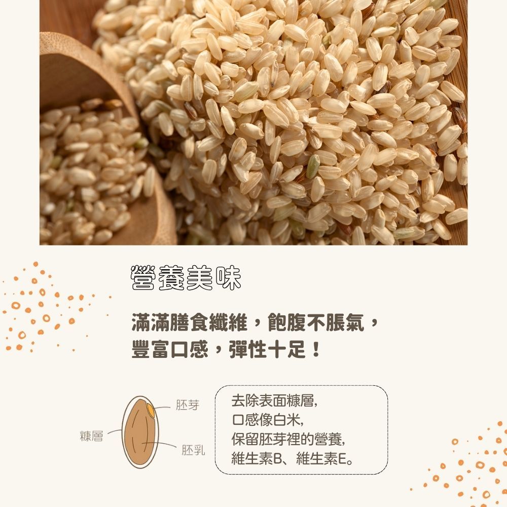 源天然 胚芽糙米1KG-5包組 免浸泡/自然農法/營養美味/含人體所需礦物質