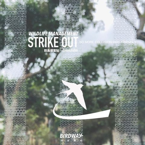 STRIKE OUT 防鳥撞窗貼-帶狀