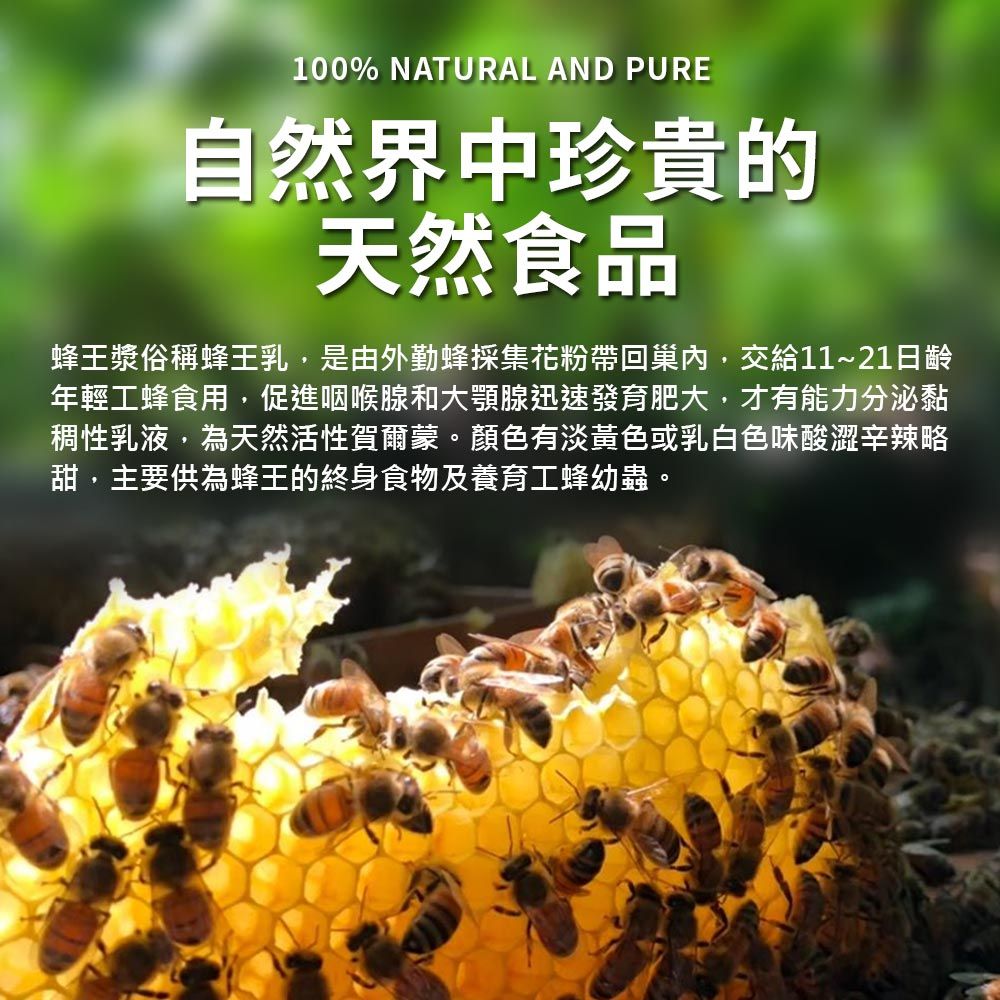 蜂巢氏 蜂王乳凍晶植物膠囊 100粒/盒-蜂王漿