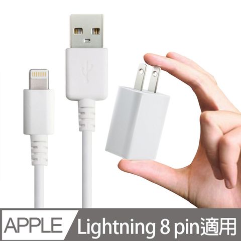 FOR iPhone 11/11Por/X/Xs/Xs Max/8/iphone 7/iphone 6/iphone5/iphone SE2 等專用充電組 (旅充頭+副廠充電線)