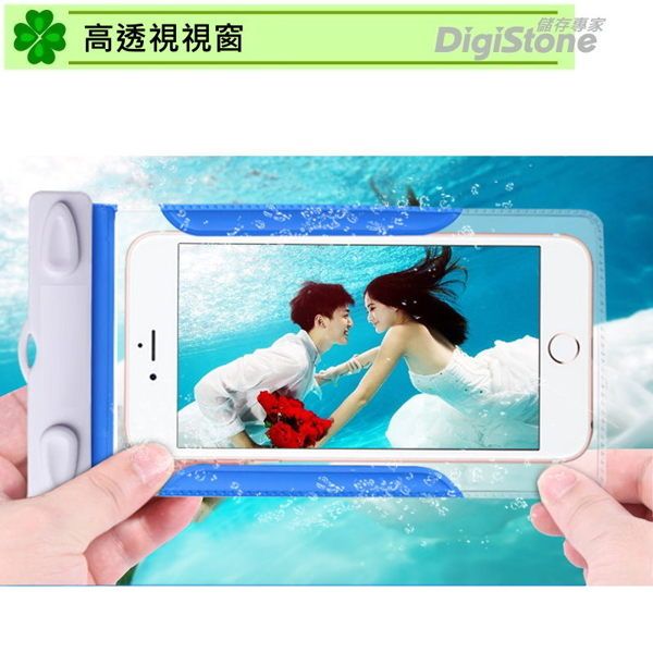 高透視視窗儲存專家DigiStone