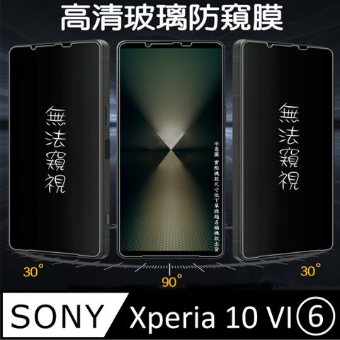 [Glass] SONY Xpeia 10 VI(6) 防窺高清玻璃螢幕保護貼