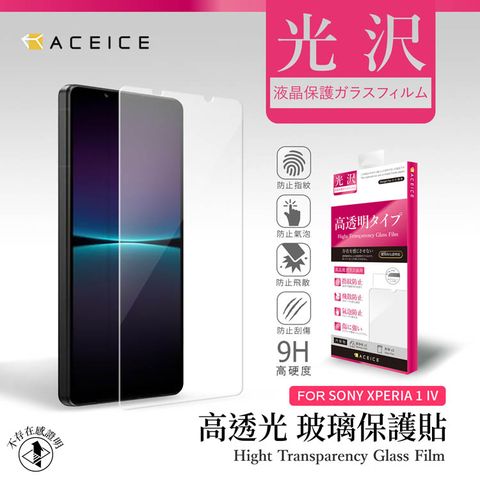 ACEICE SONY Xperia 1 V 5G ( XQDQ62 , XQ-DQ72 ) 6.5 吋    透明玻璃( 非滿版) 保護貼