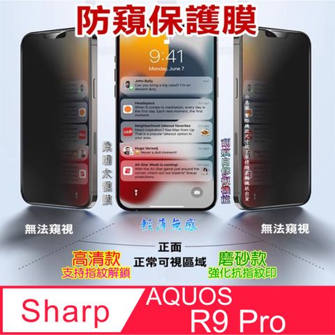 夏普 Sharp AQUOS R9 Pro 螢幕保護貼(高清亮面/磨砂霧面)