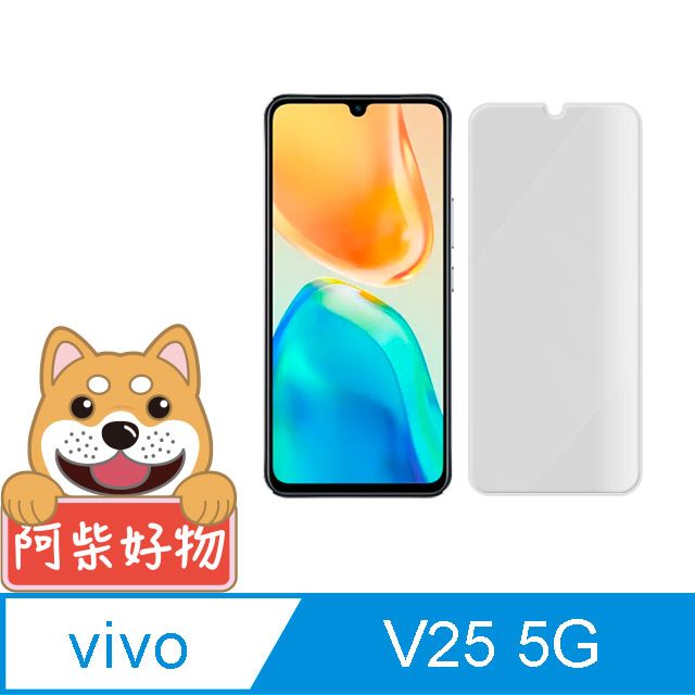  阿柴好物 Vivo V25 5G 非滿版 9H鋼化玻璃保護貼