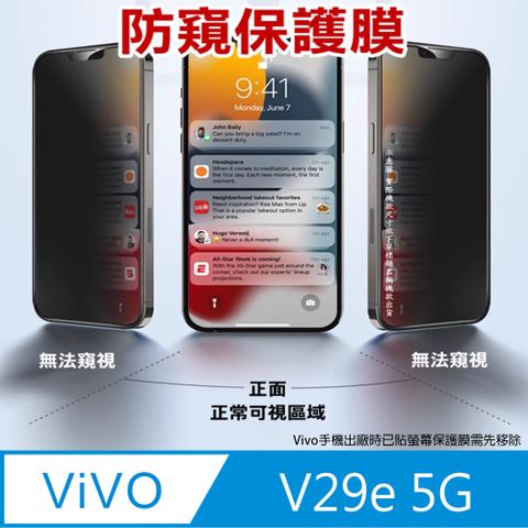 ^防窺磨砂抗炫^柔韌疏水防爆全屏螢幕保護貼ＦＯＲ：vivo V29e 5G