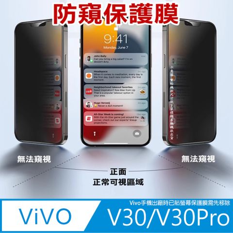 ^防窺磨砂抗炫^柔韌疏水防爆全屏螢幕保護貼ＦＯＲ：vivo V30/V30Pro