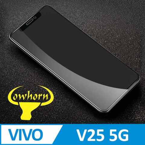 vivo V25 5G 2.5D曲面滿版 9H防爆鋼化玻璃保護貼 黑色