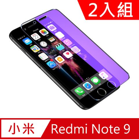 小米紅米Note 9滿版鋼化玻璃保護貼2入組 非包邊9H3倍抗藍光鋼化膜