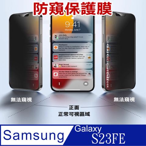 [防窺磨砂抗炫]Samsung Galaxy S23FE柔韌疏水防爆全屏螢幕保護貼