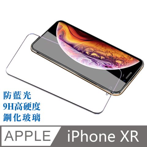 台灣霓虹 iPhone XR 6.1吋滿版鋼化玻璃保護貼