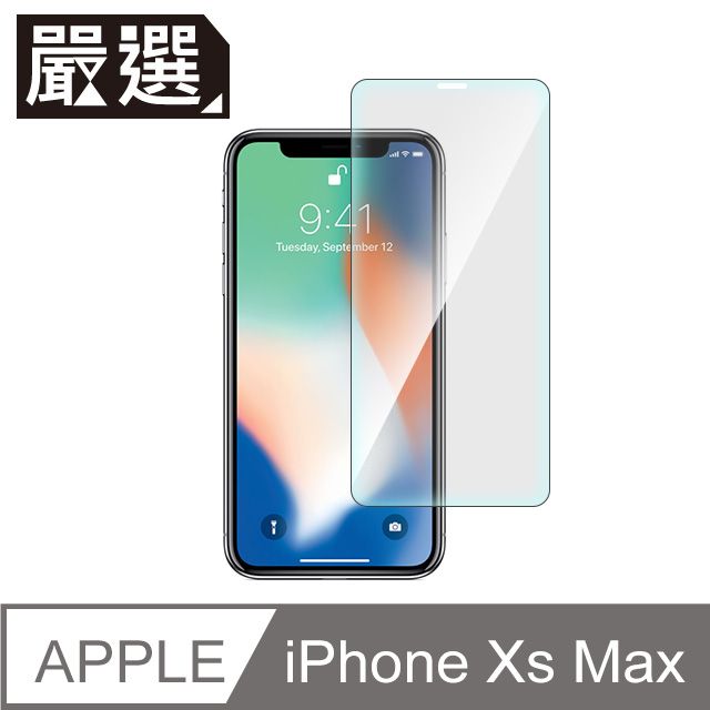  嚴選 iPhone Xs Max 非滿版疏水疏油鋼化玻璃保護貼(6.5吋)