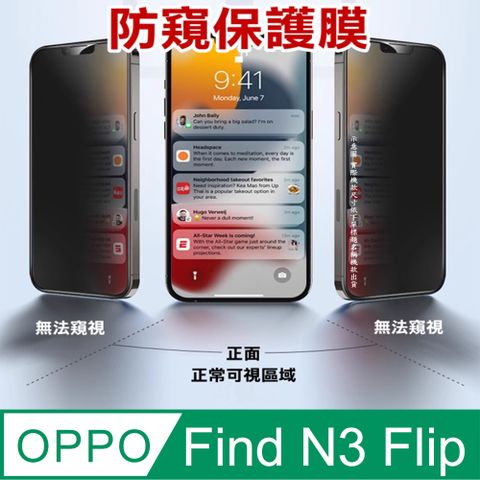 [防窺磨砂抗炫]OPPO Find N3 Flip柔韌疏水防爆全屏螢幕保護貼
