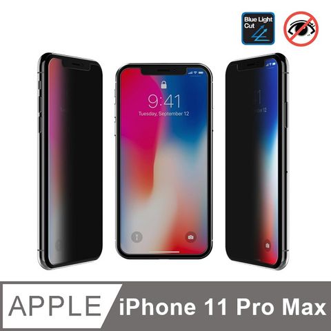 Sview 濾藍光 手機防窺膜 / iPhone 11 Pro Max 專用