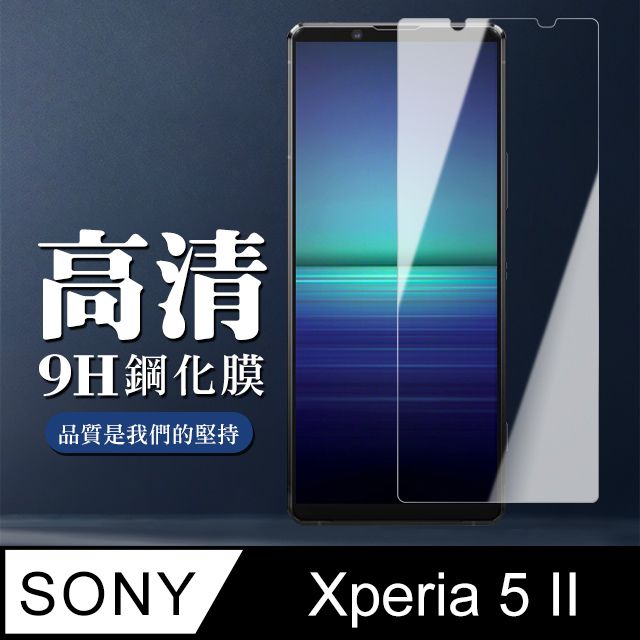 SONY 索尼 最高規格玻璃  Xperia 5 II 保護貼 防指紋款 透明(Xperia5II保護貼 Xperia5II Xperia 5 II  保護膜 保護貼 鋼化膜 5 II  52)